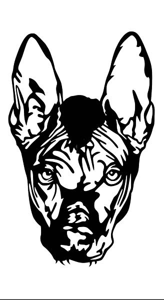 Xolo
