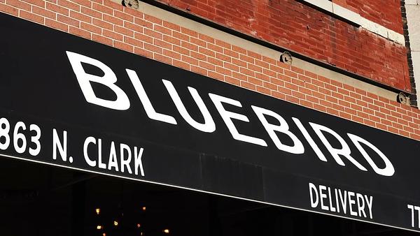 Bluebird