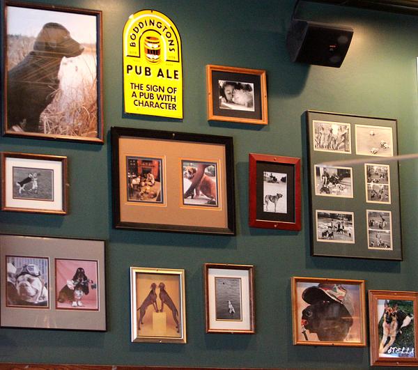 Three Dogs Tavern