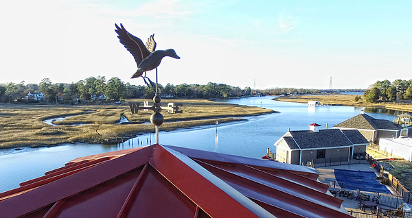 Decoys Seafood