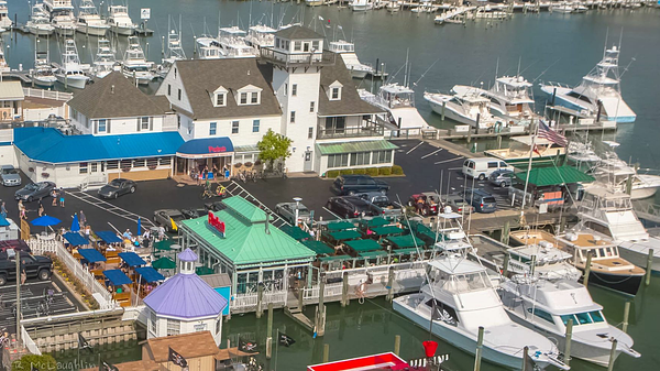 Rudee's Restaurant and Cabana Bar