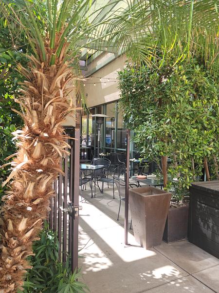 Pitta Souvli Mediterranean Grill