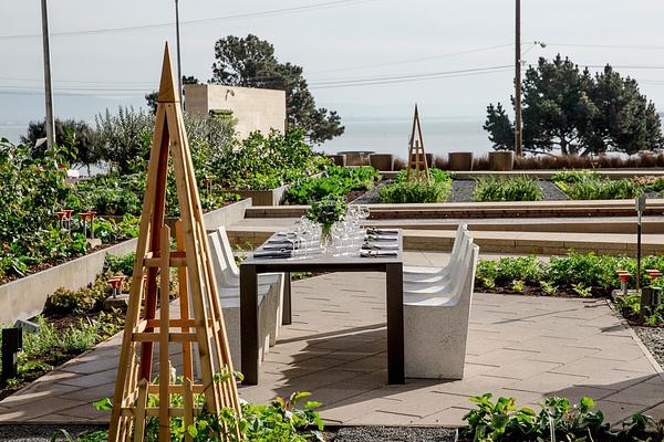 STEM Kitchen + Garden