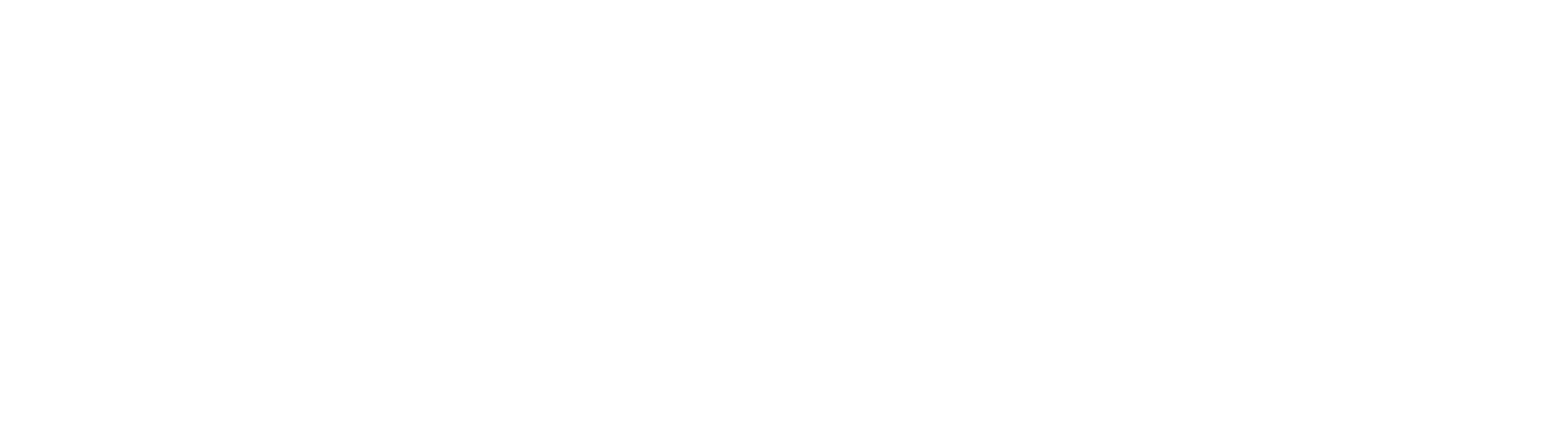 Lulu's Thai Noodle Shop