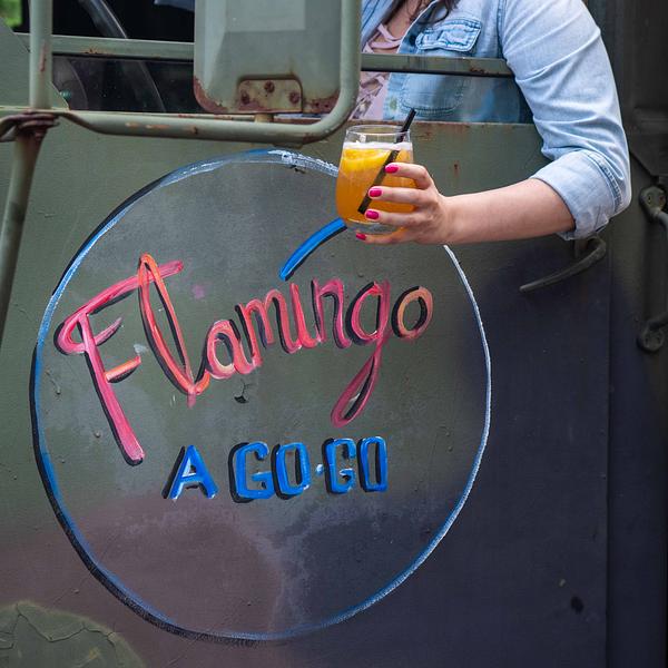 Flamingo A Go Go