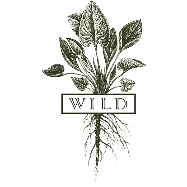 Wild Park Slope