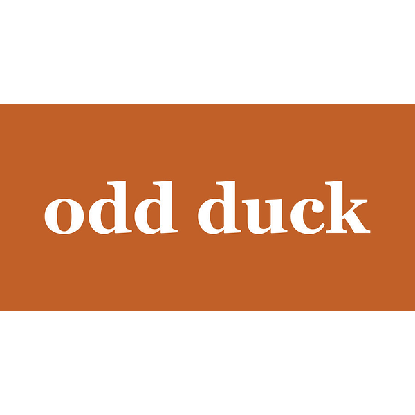 Odd Duck