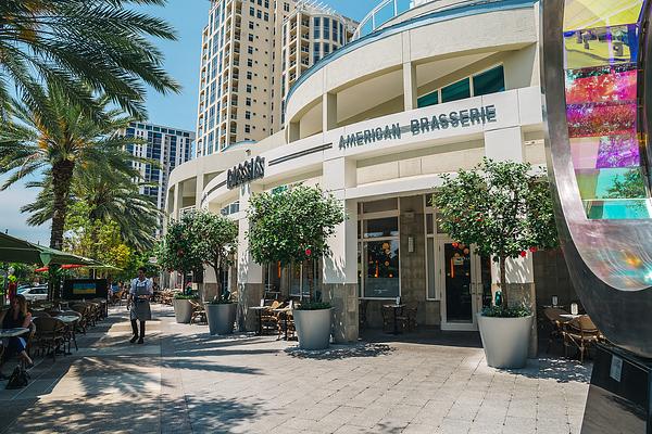 Cassis St. Pete