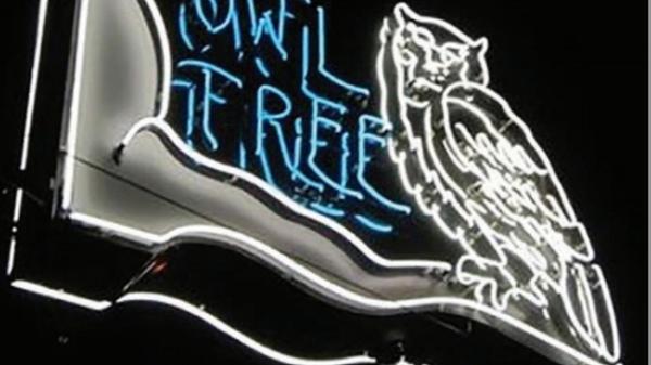 Owl Tree
