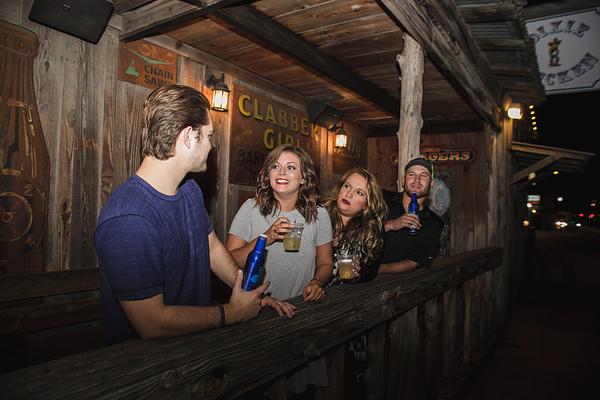 Dixie Chicken