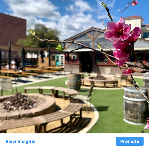 Blackbird Tavern
