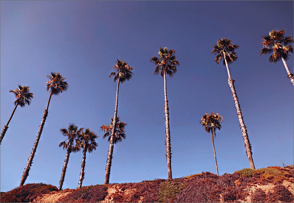 The Beverly Beach Garden