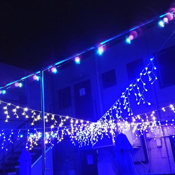 The Blue Moon Lounge