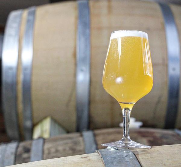 Noble Creature Wild Ales & Lagers