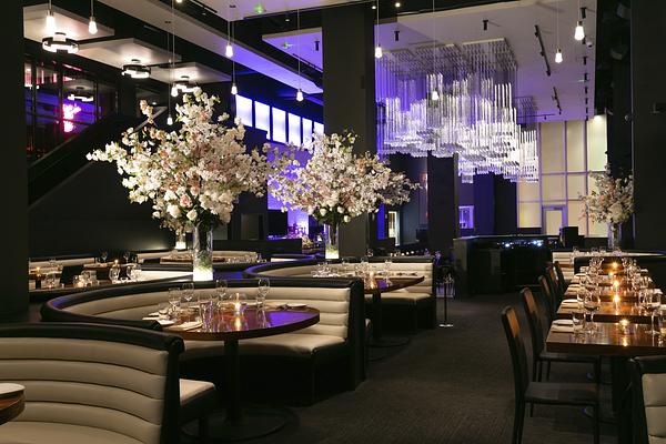 STK Steakhouse