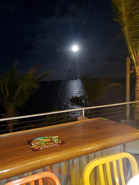 Lazy Turtle RiverFront Grill & Tiki Bar