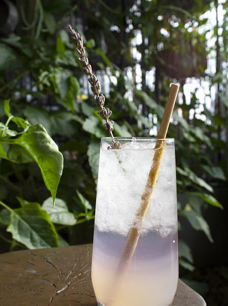 Greenhouse Bar
