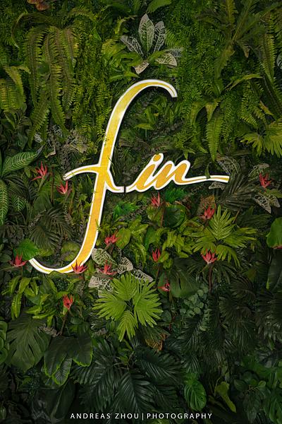 Fin Thai sf
