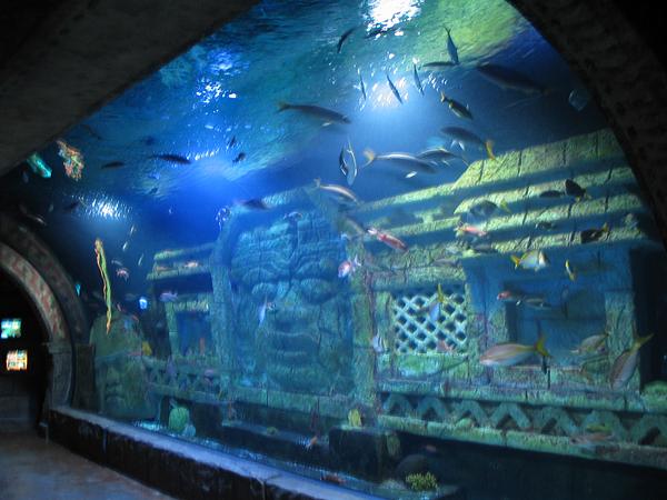 Aquarium Restaurant