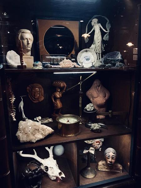 The Cabinet of Curiosities