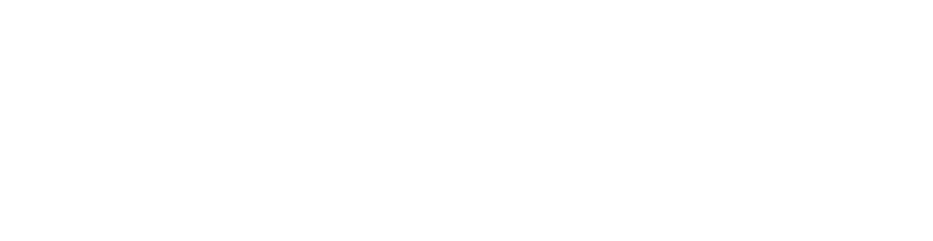 The Silver Bullet